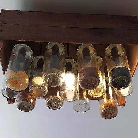 House Auberge de jeunesse Baleal